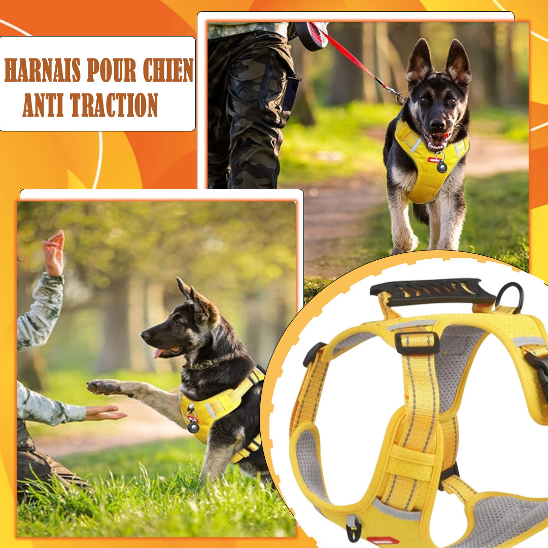 Harnais anti-traction