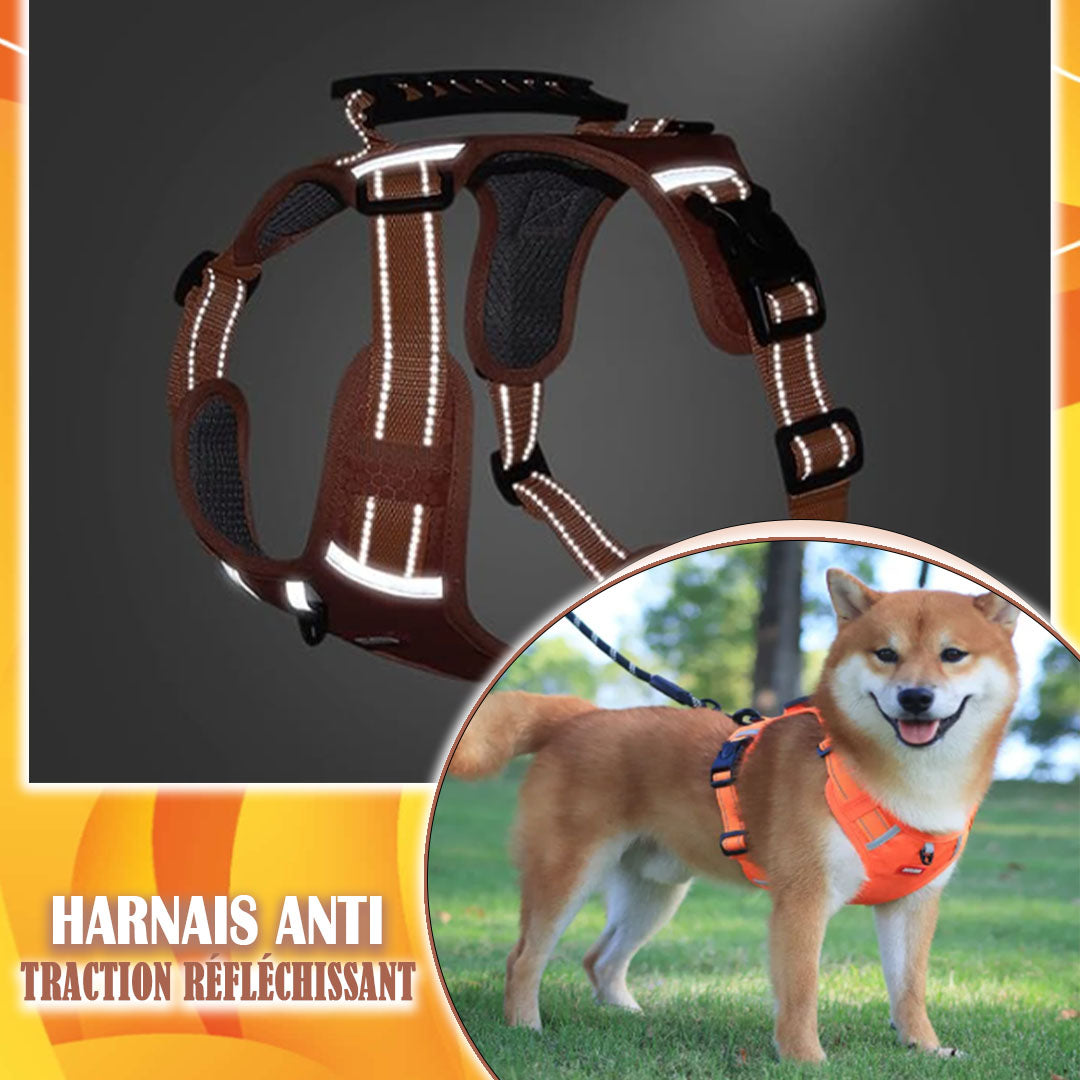 Harnais anti-traction